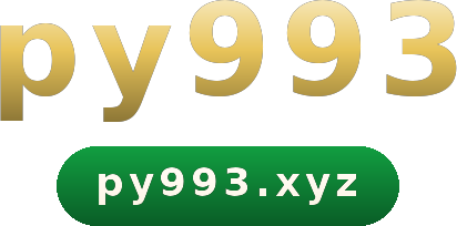 py993 logo